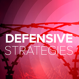 SRPInsight issue 8: defensive strategies